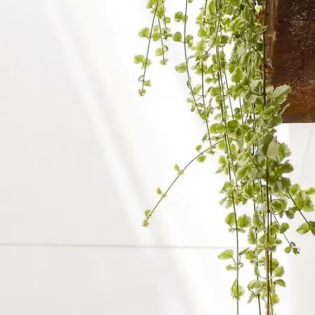 Apartment La Sorpresa Del Genoves By Cadiz4rentals