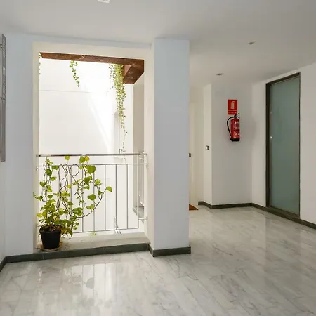 La Sorpresa Del Genoves By Cadiz4rentals *