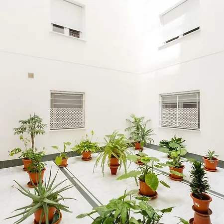 公寓 La Sorpresa Del Genoves By Cadiz4rentals *