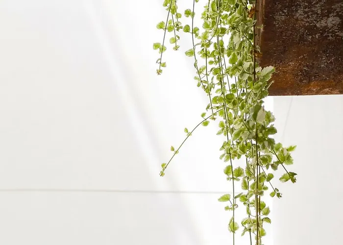 דירה La Sorpresa Del Genoves By Cadiz4rentals